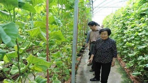 吃瓜网红黑料爆料是真的吗,真相揭秘  第3张